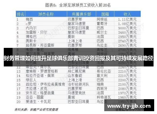 财务管理如何提升足球俱乐部青训投资回报及其可持续发展路径