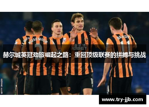 赫尔城英冠劲旅崛起之路：重回顶级联赛的拼搏与挑战