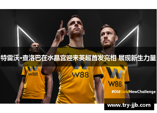 特雷沃·查洛巴在水晶宫迎来英超首发亮相 展现新生力量 特雷沃·查洛巴在水晶宫迎来英超首发亮相 展现新生力量