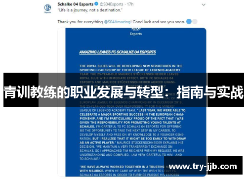 青训教练的职业发展与转型：指南与实战
