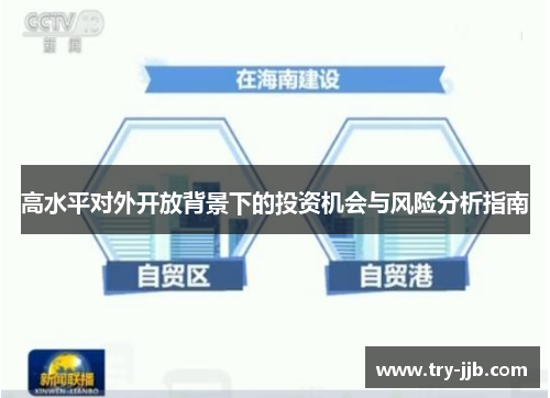 高水平对外开放背景下的投资机会与风险分析指南